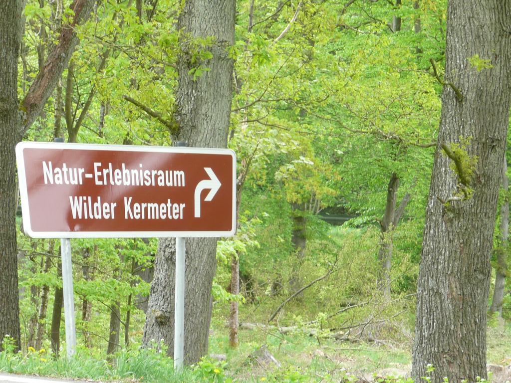 Ferienhaus Kruk Hergarten Εξωτερικό φωτογραφία